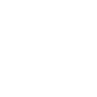 Metronics